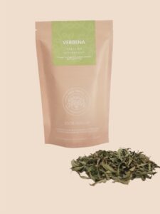 Verbena