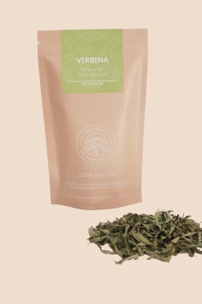 Verbena
